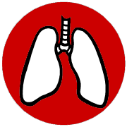 World Asthma Day 2009